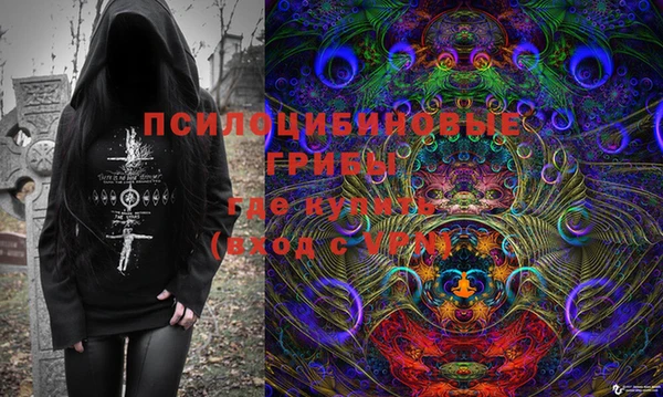 сатива Абинск