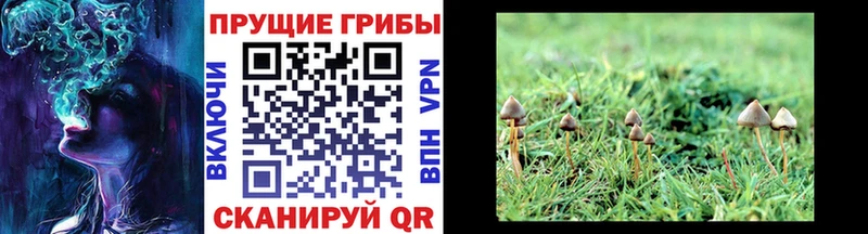 Галлюциногенные грибы Magic Shrooms  KRAKEN ONION  Североморск 